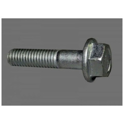 Болт М 8*1,25*35 с буртиком (Красная Этна )